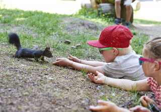 Squarrel trail in Arosa