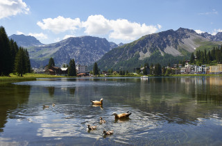 Obersee Sommerstimmung Arosa