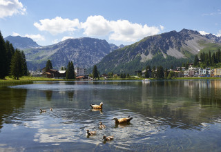 Obersee Sommerstimmung Arosa
